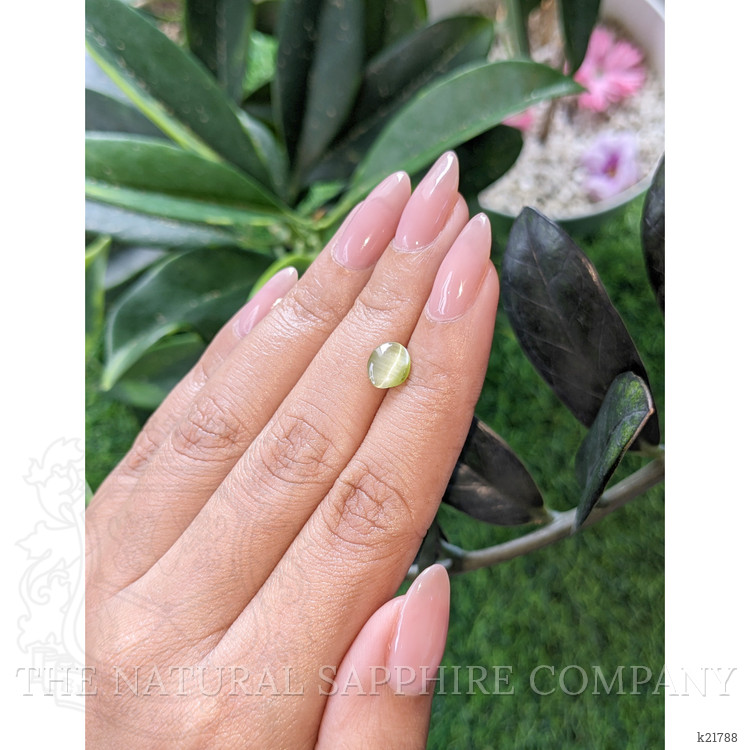 1.39 Ct. Yellowish Green Cabochon Chrysoberyl from Ceylon (Sri Lanka)