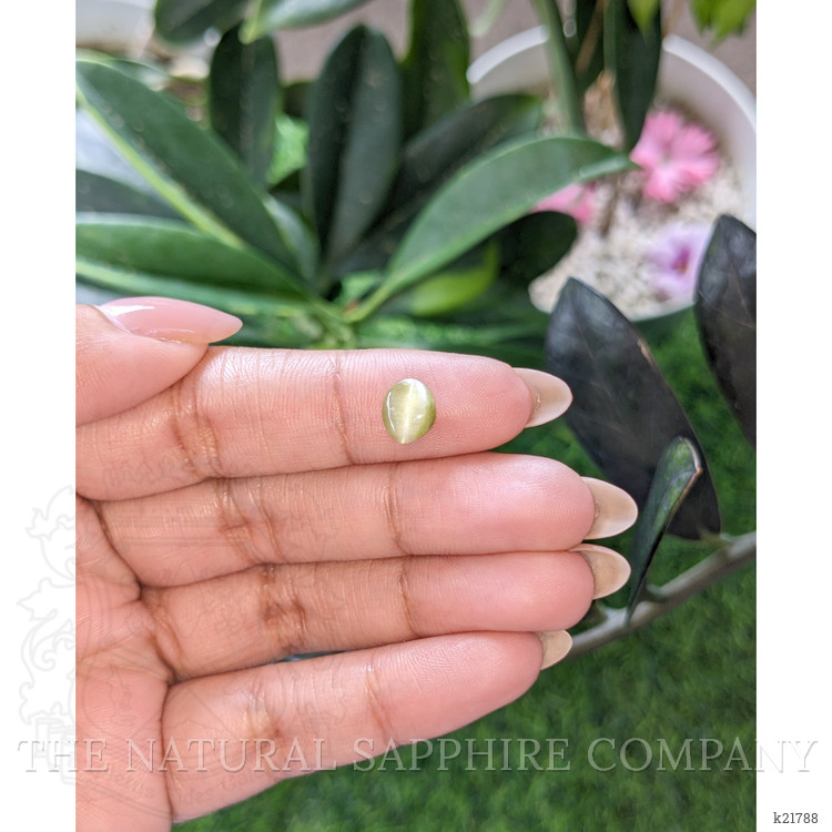 1.39 Ct. Yellowish Green Cabochon Chrysoberyl from Ceylon (Sri Lanka)