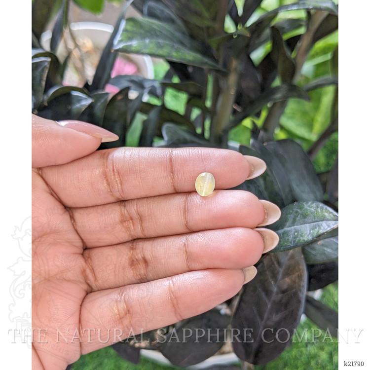 1.74 Ct. Yellowish Green Cabochon Chrysoberyl from Ceylon (Sri Lanka)