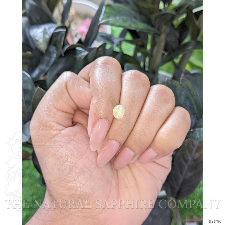 1.74 Ct. Yellowish Green Cabochon Chrysoberyl from Ceylon (Sri Lanka)