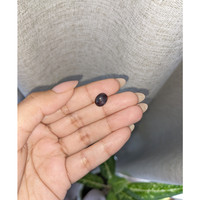 3.89 Ct. Purple Star Spinel from Ceylon (Sri Lanka) Life Style