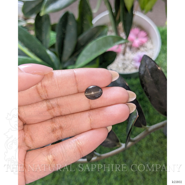 3.82 Ct. Black Cabochon Scapolite from Ceylon (Sri Lanka)