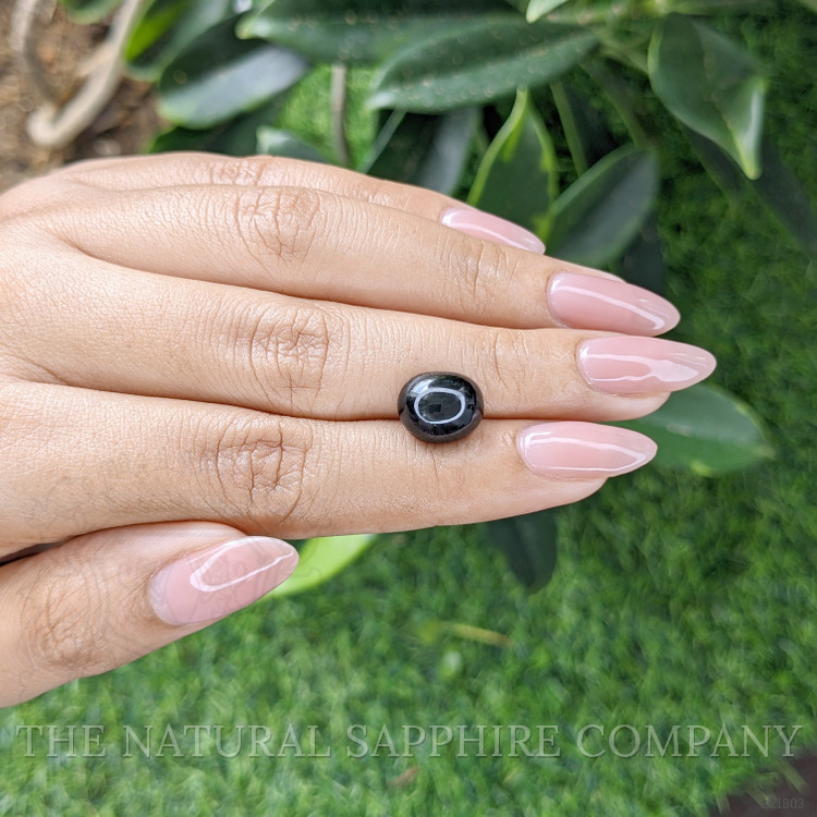4.58 Ct. Black Star Diopside from Madagascar