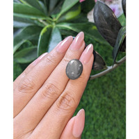 9.31 Ct. Grey Cabochon Moonstone from Ceylon (Sri Lanka) Life Style