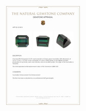 18.39 Ct. Tourmaline from Tanzania Appraisal