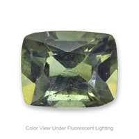 0.87 Ct. Garnet from Madagascar Video