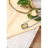 12.79 Ct. Scapolite from Brazil Life Style