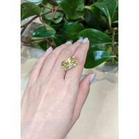 14.58 Ct. Scapolite from Brazil Life Style