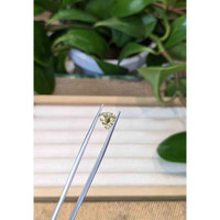 14.85 Ct. Yellow Scapolite from Brazil Life Style