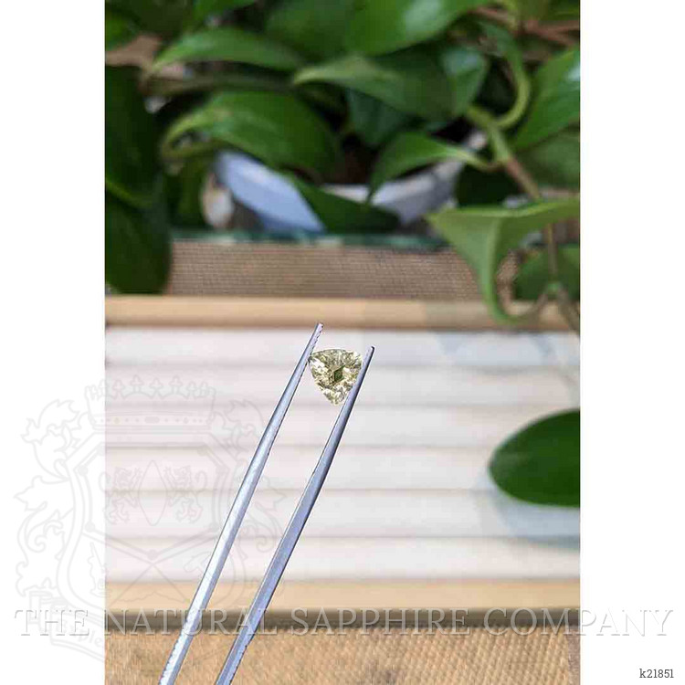 14.85 Ct. Yellow Scapolite from Brazil