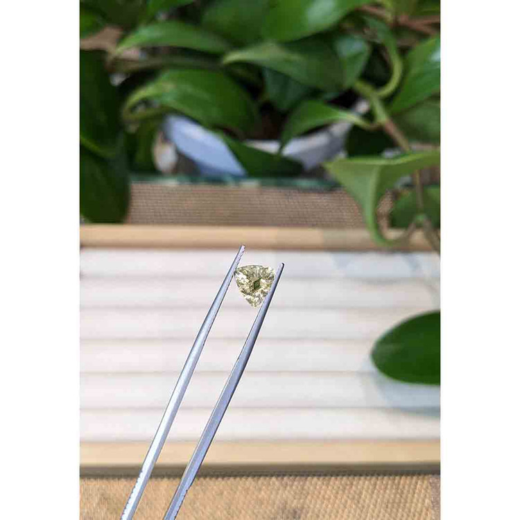 14.85 Ct. Scapolite from Brazil