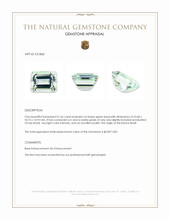 51.66 Ct. Green Beryl from Brazil Appraisal