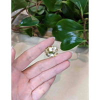 18.69 Ct. Scapolite from Brazil Life Style