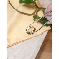 16.72 Ct. Yellow Scapolite from Brazil Life Style