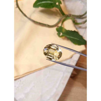 16.72 Ct. Yellow Scapolite from Brazil Life Style