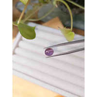 3.01 Ct. Cabochon Alexandrite from Ceylon (Sri Lanka) Life Style