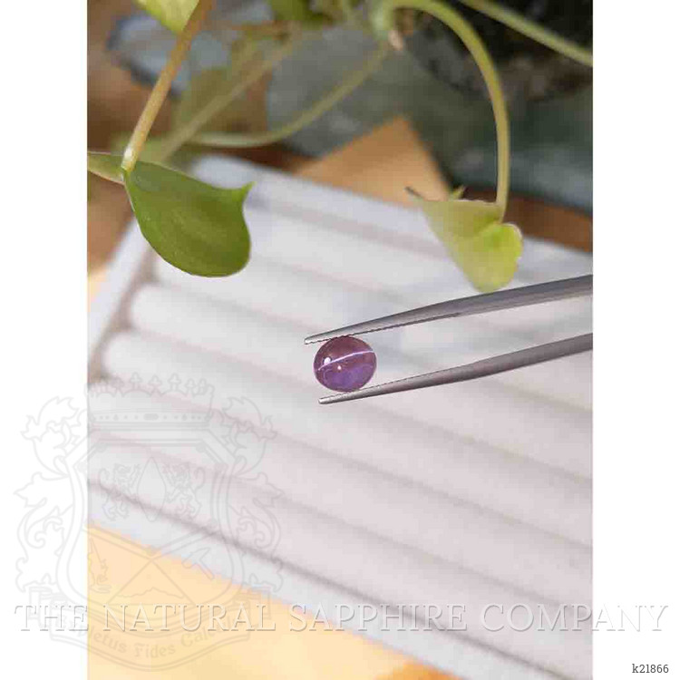 3.01 Ct. Cabochon Alexandrite from Ceylon (Sri Lanka)