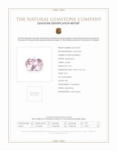 Jewelry Scan Report
