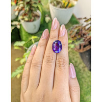 9.25 Ct. Amethyst from Ceylon (Sri Lanka) Life Style
