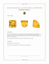 13.77 Ct. Citrine from Ceylon (Sri Lanka) Appraisal