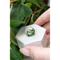 10.31 Ct. Prasiolite from Brazil Life Style
