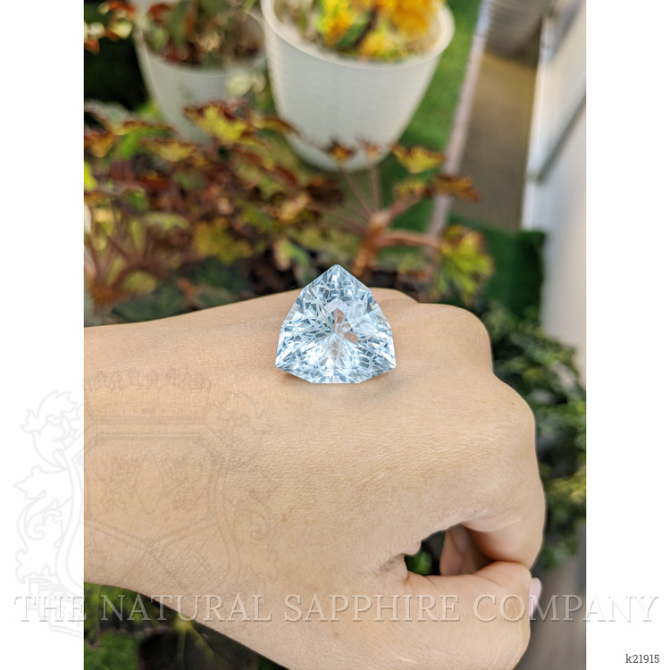 38.45 Ct. Topaz from Ceylon (Sri Lanka)