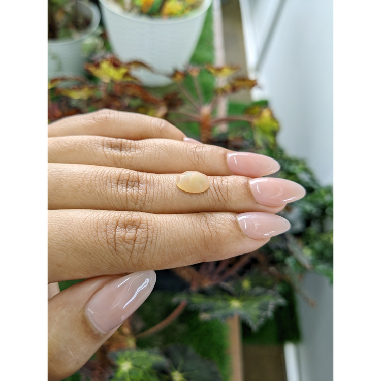 1.54 Ct. Crystal/Jelly Opal from Australia