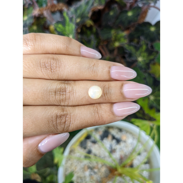 1.80 Ct. Cabochon White Opal from Australia