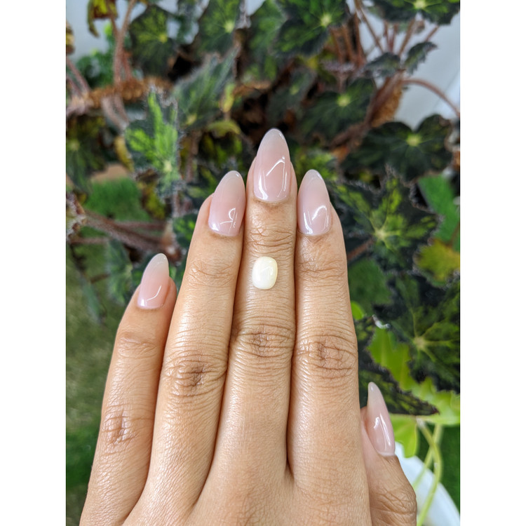 1.18 Ct. Cabochon White Opal from Australia