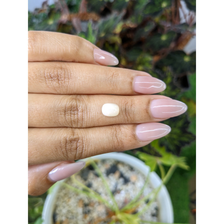 1.18 Ct. Cabochon White Opal from Australia