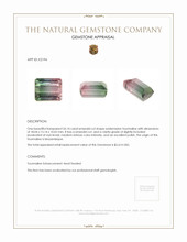 26.14 Ct. Tourmaline from Mozambique Appraisal