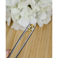 1.53 Ct. Zircon from Ceylon (Sri Lanka) Life Style