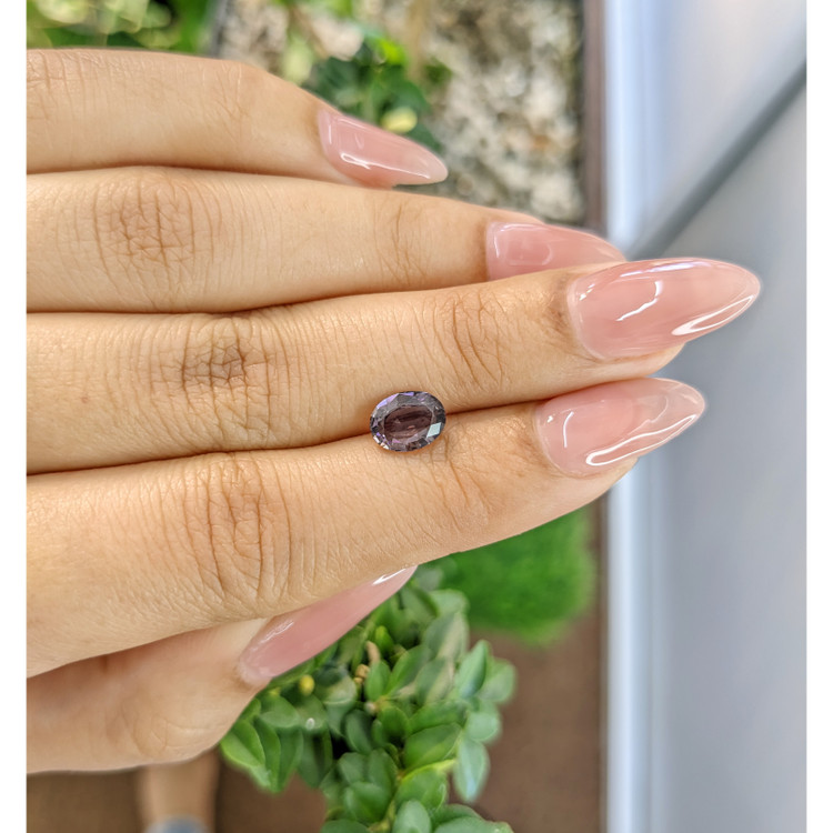 1.39 Ct. Taaffeite from Ceylon (Sri Lanka)