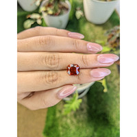 5.89 Ct. Hessonite Garnet from Madagascar Life Style