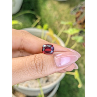 4.11 Ct. Rhodolite Garnet from Ceylon (Sri Lanka) Life Style