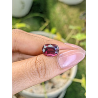 5.29 Ct. Rhodolite Garnet from Ceylon (Sri Lanka) Life Style