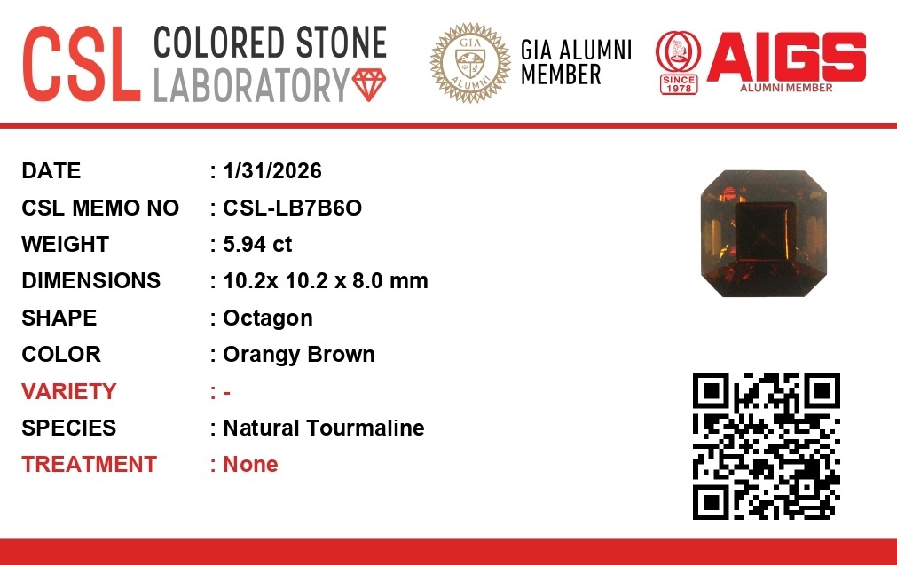 5.95 Ct. Tourmaline from Ceylon (Sri Lanka)