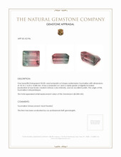 30.00 Ct. Tourmaline from Mozambique Appraisal
