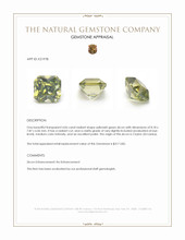 4.06 Ct. Yellowish Green Zircon from Ceylon (Sri Lanka) Appraisal