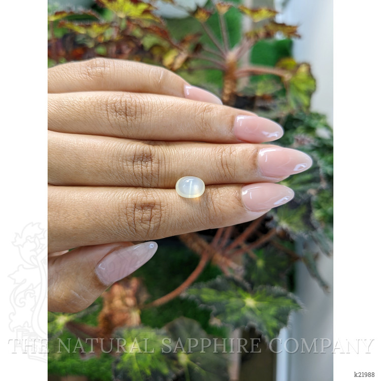 2.73 Ct. Cabochon Moonstone from Ceylon (Sri Lanka)