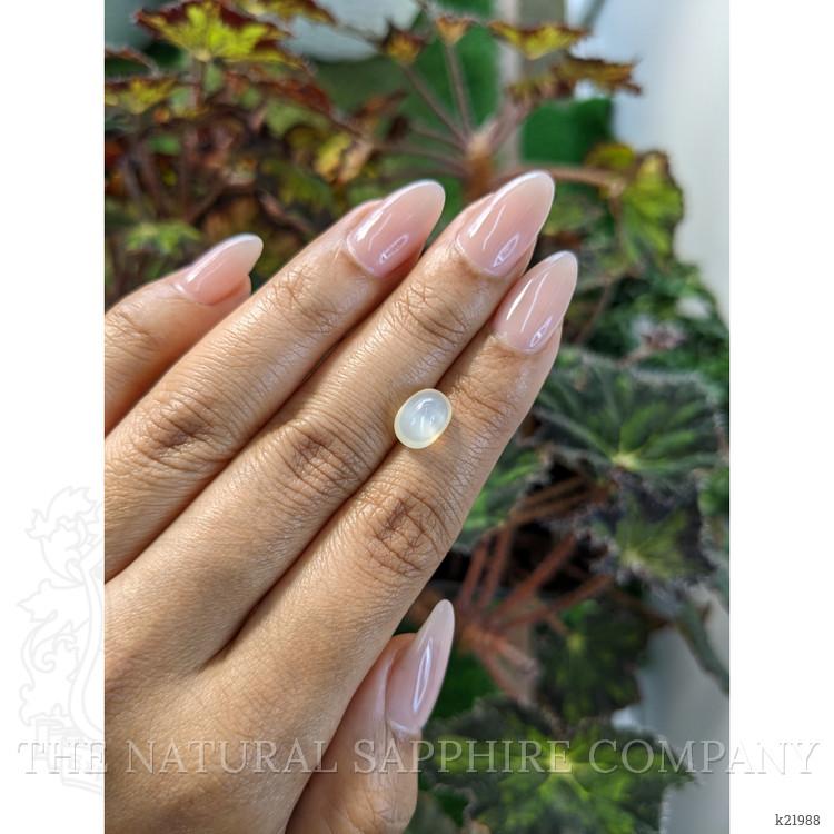 2.73 Ct. Cabochon Moonstone from Ceylon (Sri Lanka)