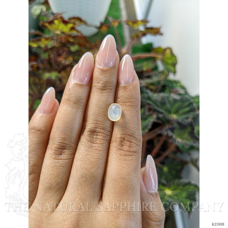 2.73 Ct. Cabochon Moonstone from Ceylon (Sri Lanka)