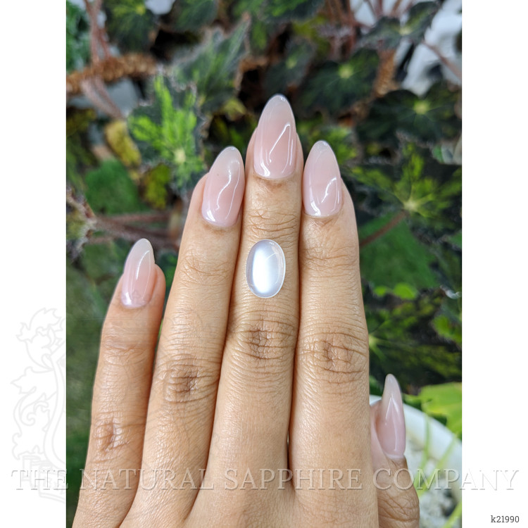 3.10 Ct. Cabochon Moonstone from Ceylon (Sri Lanka)