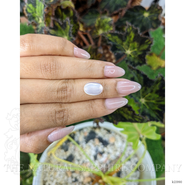 3.10 Ct. Cabochon Moonstone from Ceylon (Sri Lanka)