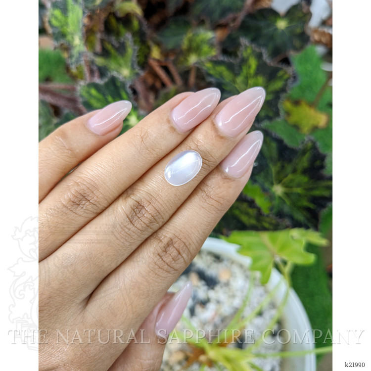 3.10 Ct. Cabochon Moonstone from Ceylon (Sri Lanka)