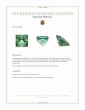 1.19 Ct. Tourmaline from Afghanistan Appraisal