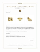 Jewelry Appraisal