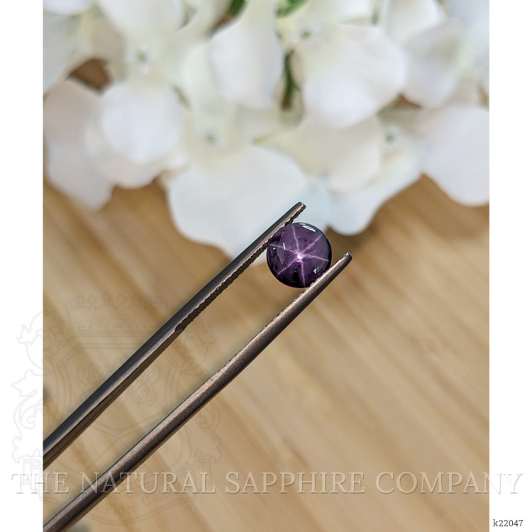 2.70 Ct. Purple Star Spinel from Ceylon (Sri Lanka)