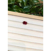 3.20 Ct. Rubellite Tourmaline from Brazil Life Style