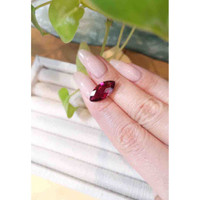 4.82 Ct. Rubellite Tourmaline from Brazil Life Style